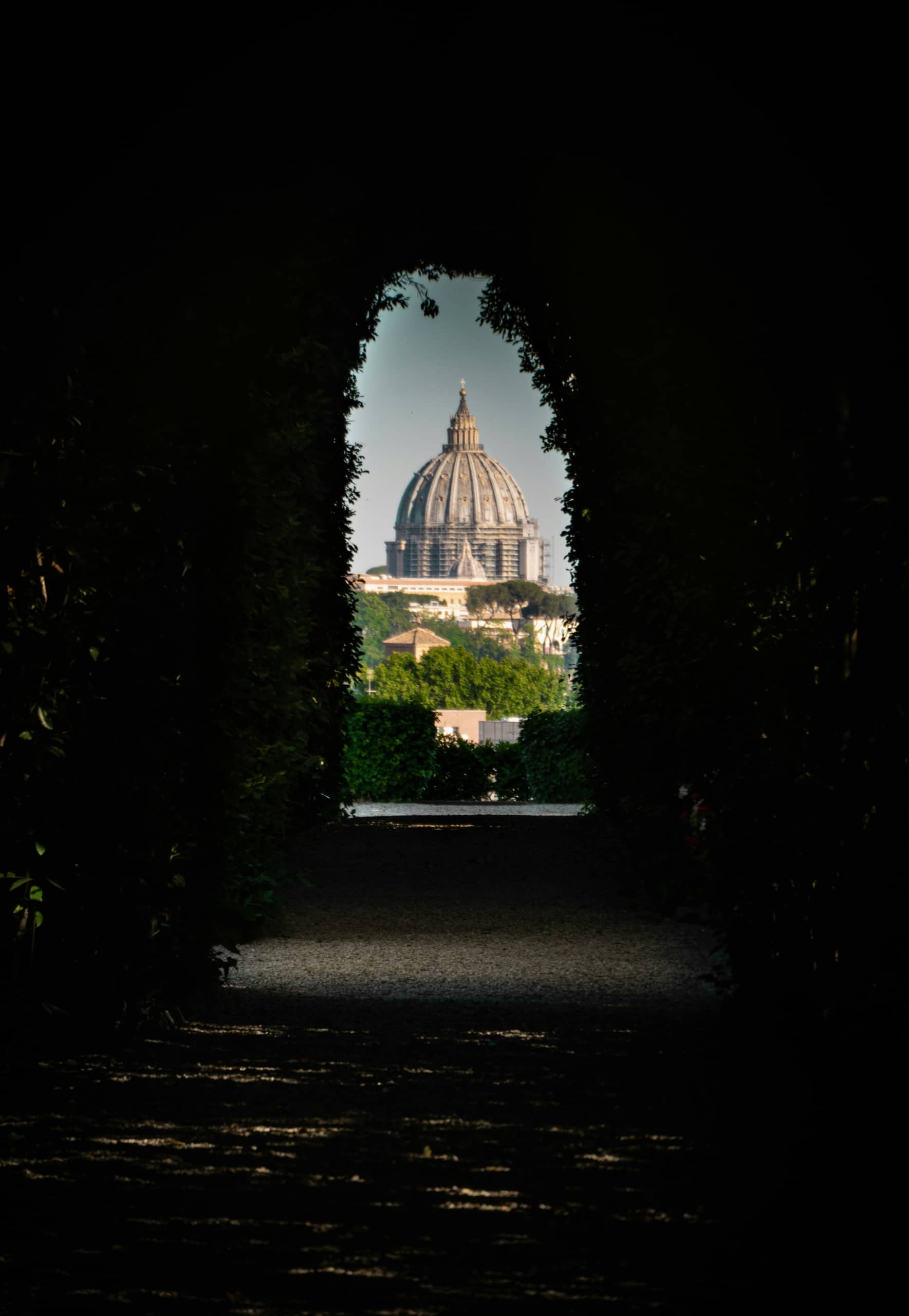 daniele-tofani-Cv0x2GDrJf4-unsplash